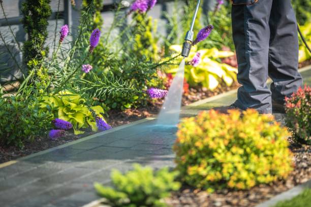 Best Post-Construction Pressure Washing  in Milford, IA